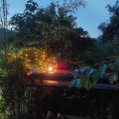 Sotam Country House Gois Bagian luar foto
